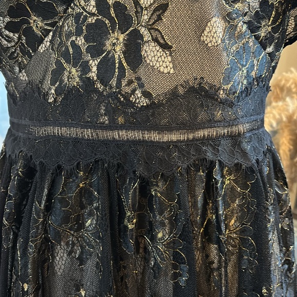 NWT! Adrianna Papell Women's Metallic Lace Dress w/ Tag - Picture 5 of 15